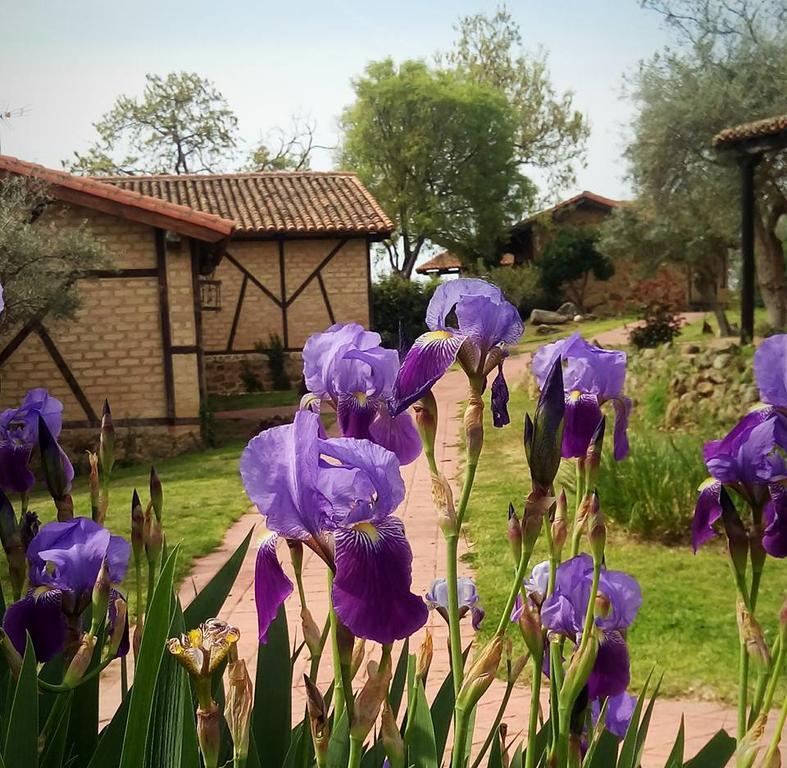 Hotel Rural Hosteria Fontivieja Losar De La Vera Bagian luar foto